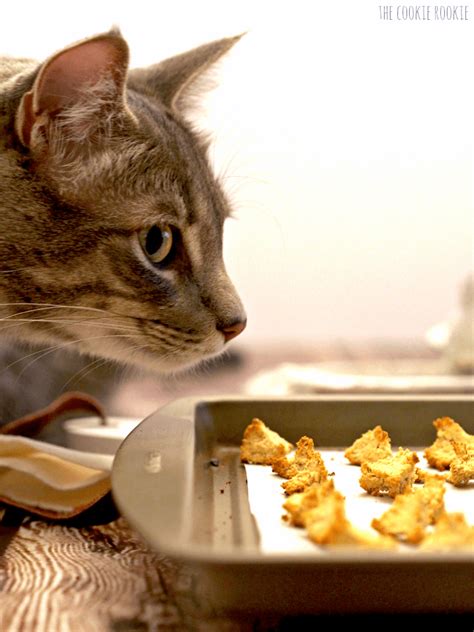 If i'm standing at the counter chopping food and i don't 'drop' some on the floor for her she will jump up and bite my arm. 5 Easy DIY Cat Treat Recipes - iHeartCats.com