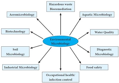 Scope Importance And Branches Of Microbiology Mcqs Pc