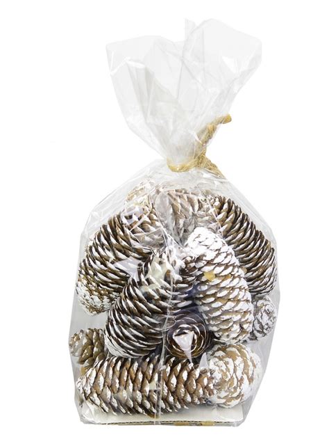 Decorative White Frosted Natural Christmas Long Pine Cones 100g