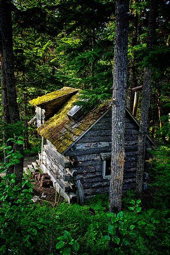 Old Mossy Cabin Next Door To Hidden Creek Bandb Cabins In The Woods