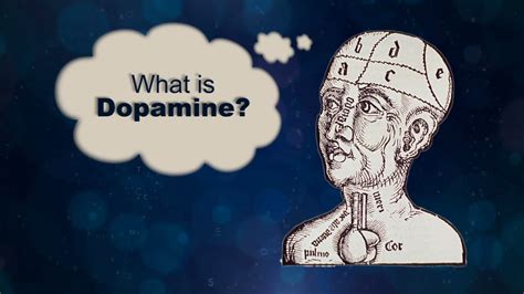 Dopamine And The Human Brain Scitech Now