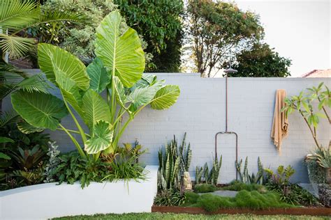 Tropical Garden Ideas How To Create A Lush Feel Livingetc