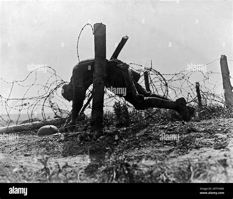France 1918 Photograph Shows An American Soldier Caught On Barbed Wire