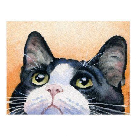 For all of your photos of your black and white cats.sorry no tabbies, tigers or others.just the black and white ones. Tuxedo Cat Postcard - tap to personalize and get yours # ...