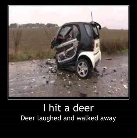 Deer Accident Smart Car Of America Forum