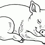 Dibujo De Cerdo Durmiendo Dibujos De Cerdos Para Pintar Dibujos