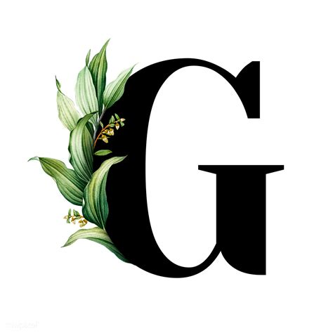 Botanical Font Letter G Royalty Free Transparent Png