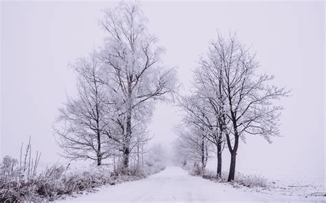 Download Wallpaper 3840x2400 Winter Forest Trees Snow Road Fog 4k