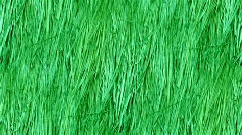 Green Seamless Straw Background Free Stock Photo Public Domain Pictures