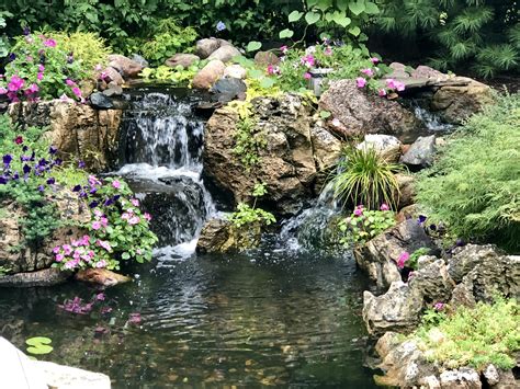 Installing a waterfall in your pond can turn your yard into a peaceful, calming oasis. New Koi Pond Construction Services For Southern California (Let's Begin!)