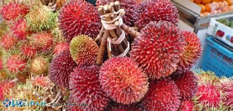 Amazing Weird Exotic And Delicious Fruits In Southeast Asia The Holidaze