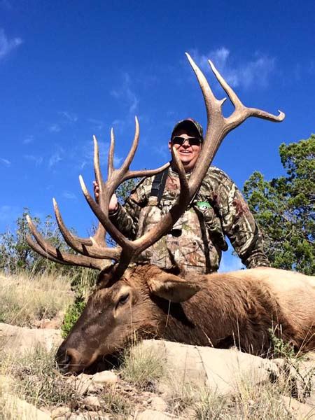 Rut Rifle Elk Hunting New Mexico Compass West Outfitters Compass West