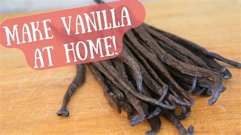 How To Use Vanilla Beans To Make Exceptionally Flavored Food YouTube