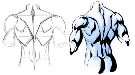 Drawing Back Muscles By Robertmarzullo On Deviantart Male Body Drawing Figure Drawing Reference