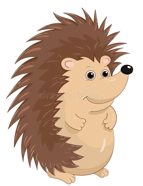 Cute Hedgehog Stock Vector Image 59525990