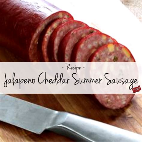 Italian sausage recipe by epressurecooker.com. Recipe - Jalapeno Cheddar Summer Sausage | Venison summer sausage recipe, Homemade sausage ...
