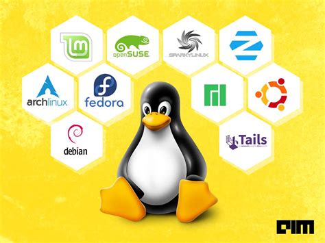 Linux Flavors Galore A Tour Youll Adore Hacklido