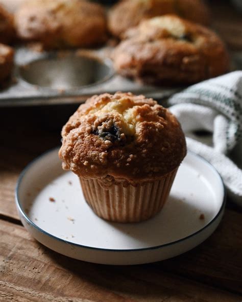 Chubby Blueberry Muffins Yutaokashi