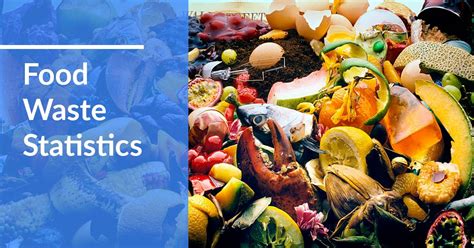 48 Food Waste Statistics 20202021 Causes Impact And Solutions