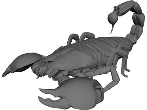 Scorpion 3d Model 3dcadbrowser