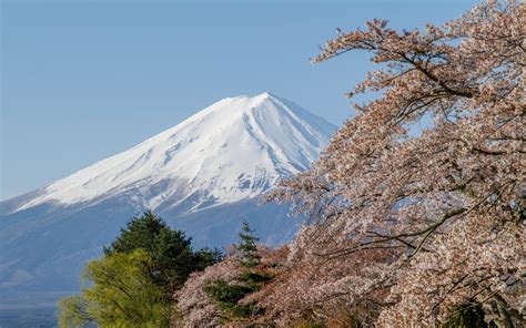 Download Wallpapers Mount Fujiyama Spring Japan Sakura