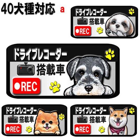 Google has many special features to help you find exactly what you're looking for. 白 ドライブ レコーダー搭載 録画 ステッカー 犬 シール 可愛い ...