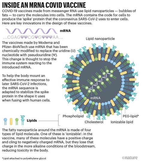 The Tangled History Of Mrna Vaccines 2023