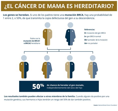 Dr Palig Wellness Pruebas Genéticas Para El Cáncer De Mama ¿quién