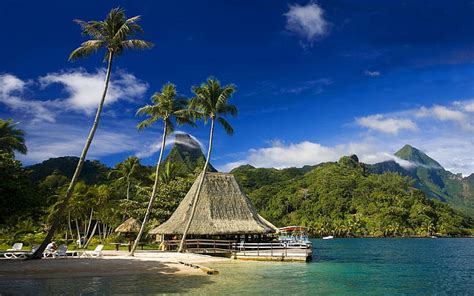 Tahiti 1080p 2k 4k 5k Hd Wallpapers Free Download Sort By Relevance