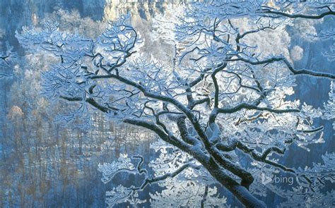 Winter Rime Bing Theme Wallpaper View