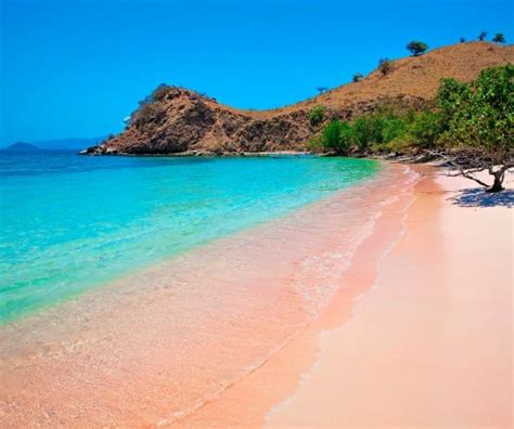 Complete Guide To The Pink Beaches Of Indonesia Etg Blog
