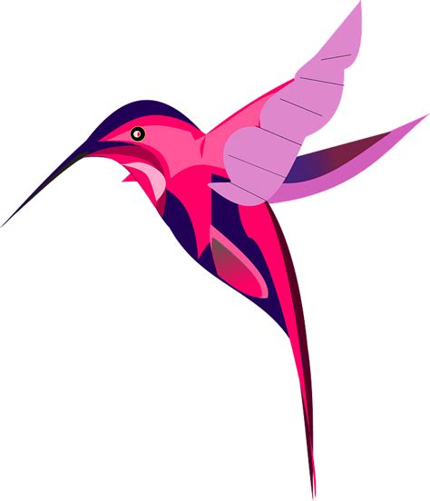Pink Hummingbird Clipart Free Download Transparent Png Creazilla