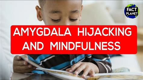 Amygdala Hijacking And Mindfulness Youtube