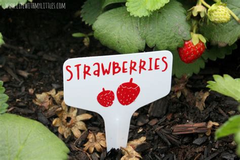 diy garden markers life with my littles