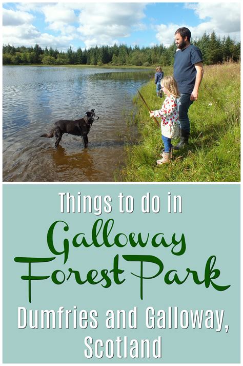 Things To Do In Galloway Forest Park Scotland For Kids Dumfries And