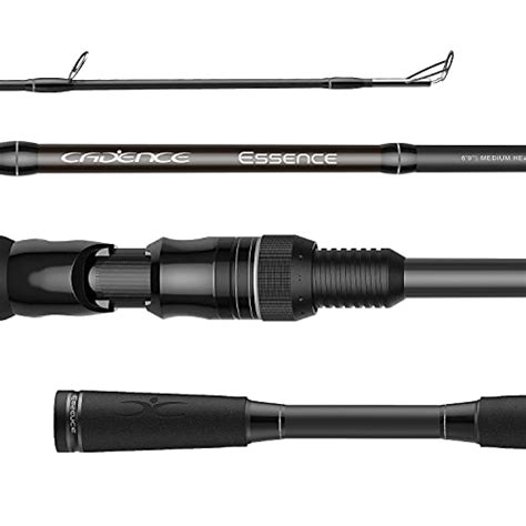 Best Surf Fishing Rods Reviews In Gilsonslyceum