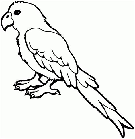 Free Parrot Black And White Clipart Download Free Parrot Black And