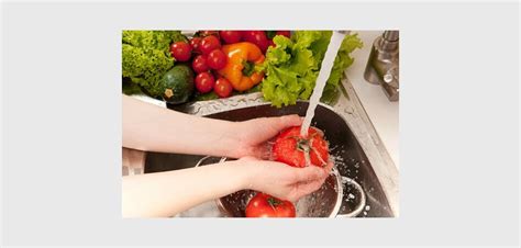 Higieniza O De Alimentos Saiba Como Higienizar Corretamente Frutas Verduras E Legumes