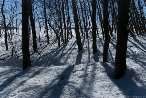 Shadows On Snow