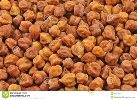 Gram seeds stock photo. Image of seed, dried, cluster ...