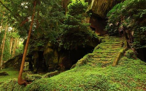 Trees Forest Woods Stair Retro Ancient Plants Green Architecture