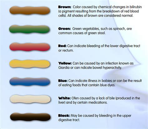 What Do Stool Colors Mean The Meaning Of Color
