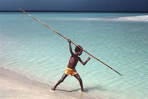 Spear Fishing Aboriginal Fishing Northern Territory Australia
