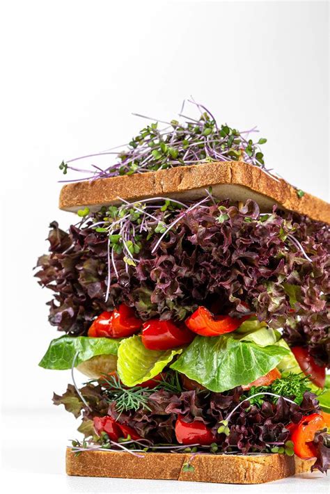 Close Up Vegetarian Fresh Big Sandwich Creative Commons Bilder