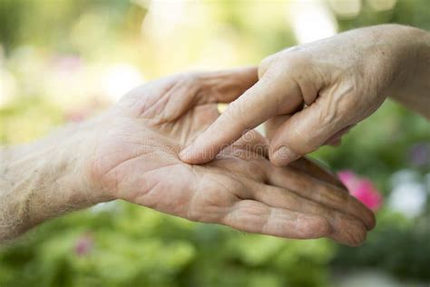 Senior Hands Holding Stock Image Image Of Hands Holding 140328583