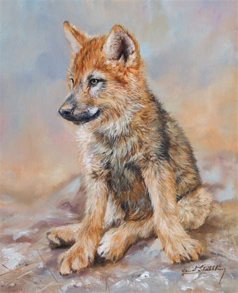 Wolf Pup Painting By David Stribbling Wildlife Art Wildlife
