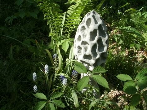 Large Cement 18" Tall Morel Mushroom Garden Art Concrete Statue Awesome