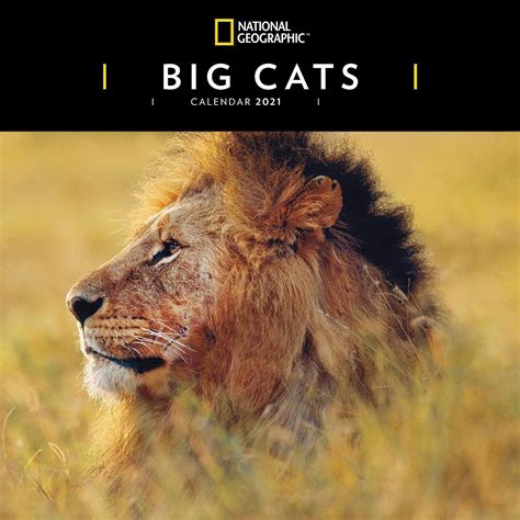 National Geographic Big Cats Calendar 2021 Office Products