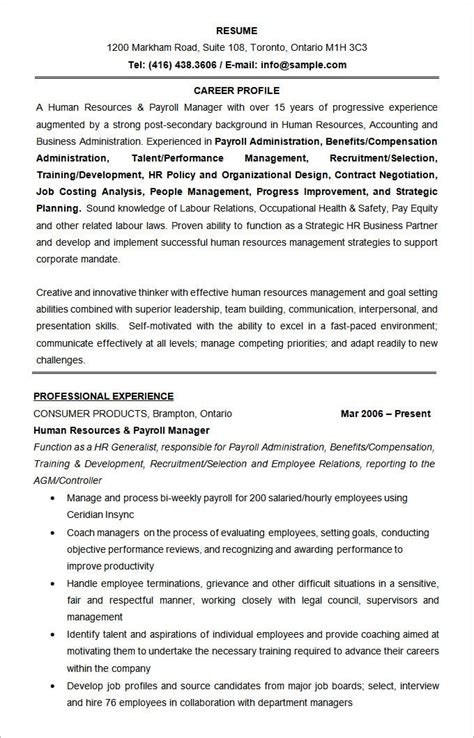resume  word template   word  documents