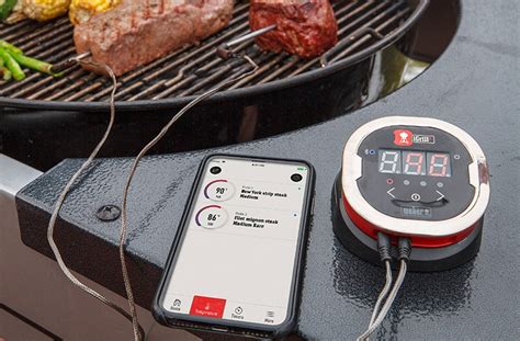 Weber Igrill 2 Review Is It Even Worth All The Hype 2021s Updates